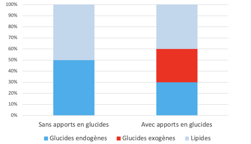 Contribution relative des substrats à la dépense totale d’énergie, comparaison entre: aucun apports en glucides et apports en glucides